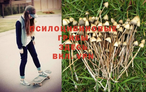 гашишное масло Кукмор
