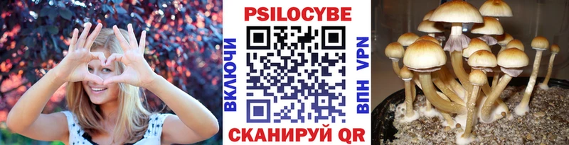 Псилоцибиновые грибы GOLDEN TEACHER  KRAKEN зеркало  Мамадыш 